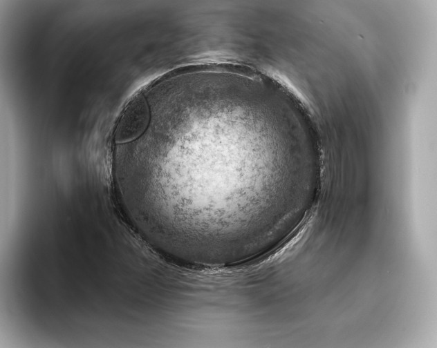 X0000094381358200711021218