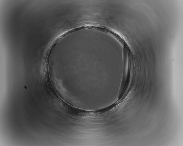 X0000094381359200711021218