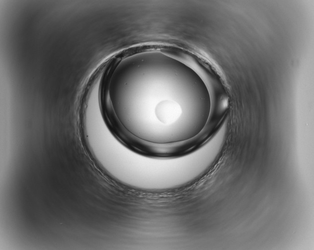 X0000094381360200711021218