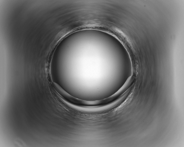X0000094381361200711021218