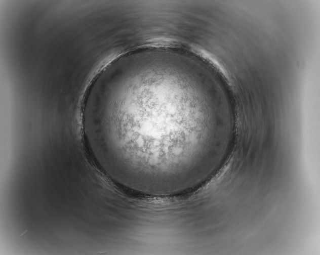 X0000094381362200711021218