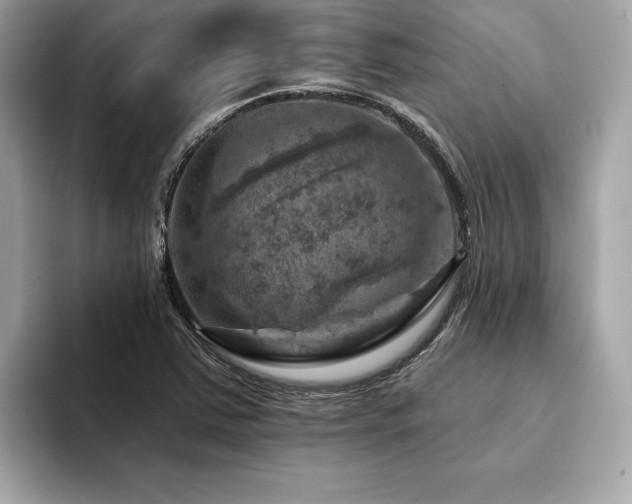 X0000094381363200711021218