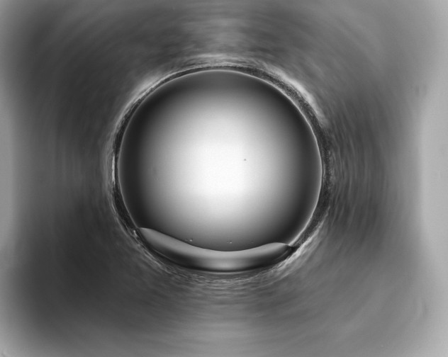 X0000094381365200711021218