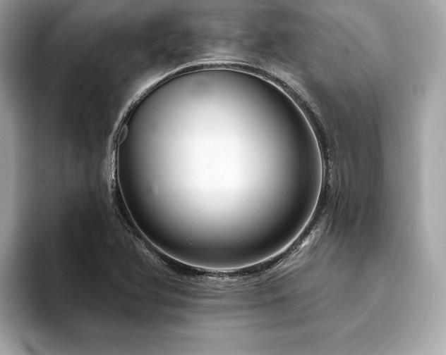 X0000094381366200711021218