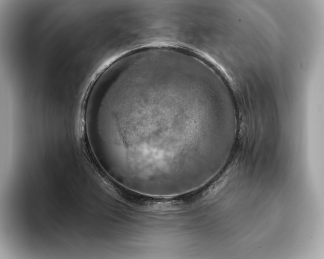 X0000094381367200711021218