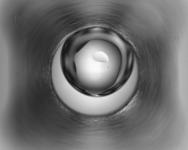 X0000094381369200711021218