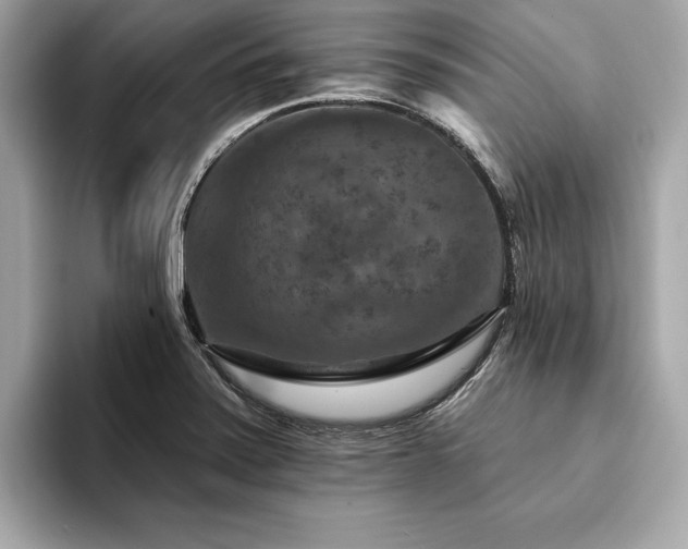 X0000094381371200711021218