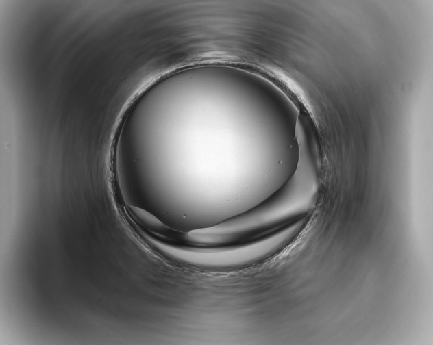 X0000094381373200711021218