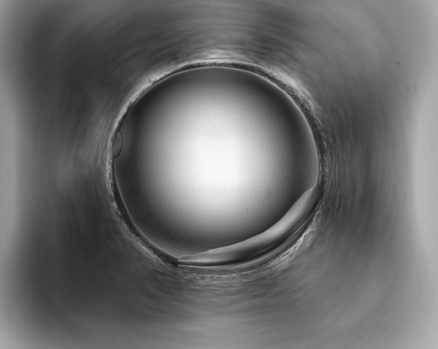X0000094381374200711021218