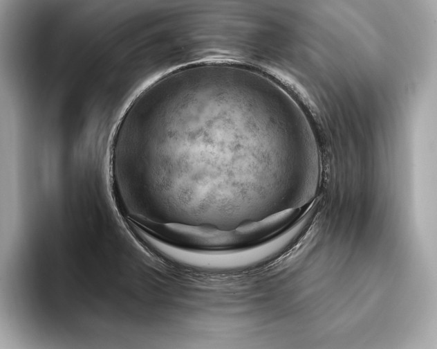 X0000094381375200711021218
