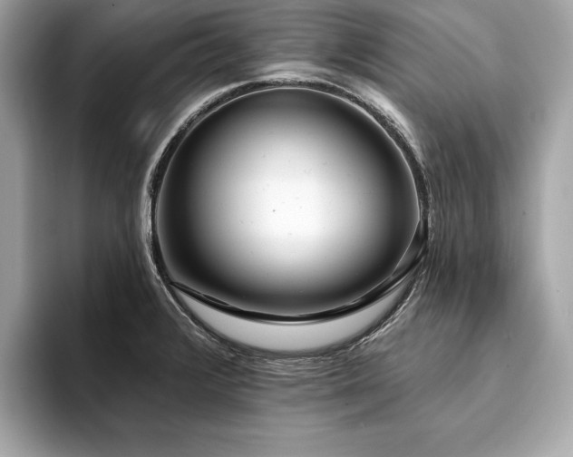 X0000094381376200711021218