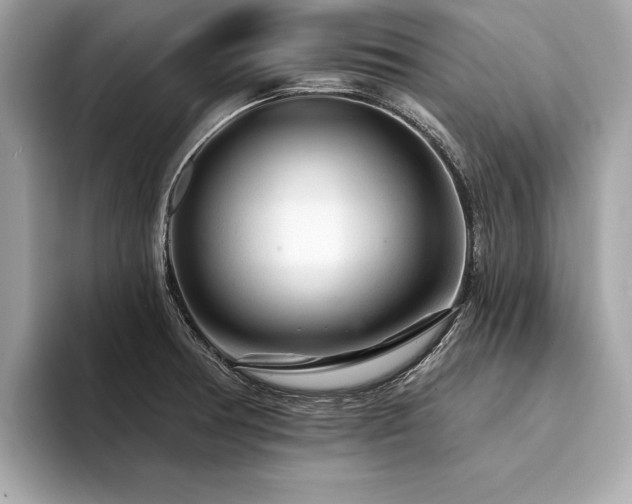 X0000094381378200711021218