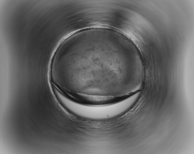 X0000094381379200711021218