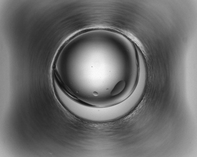 X0000094381380200711021218