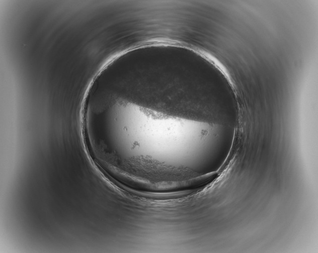 X0000094381381200711021218