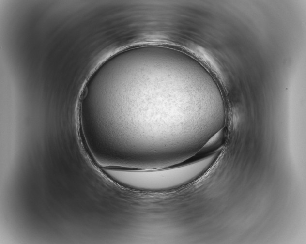 X0000094381382200711021218