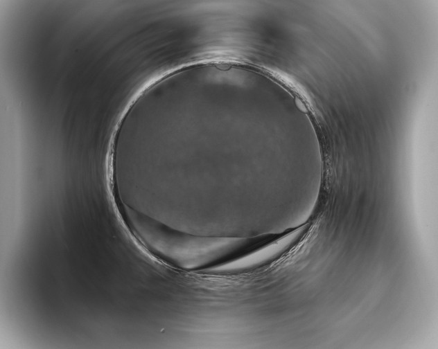 X0000094381383200711021218