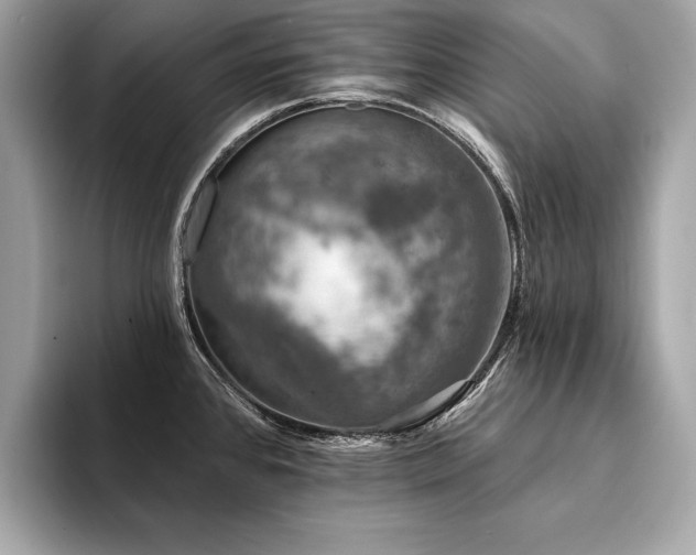X0000094381384200711021218