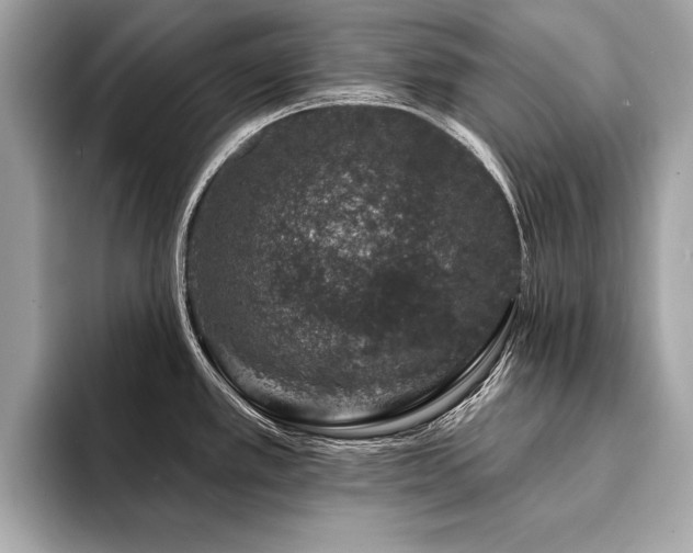 X0000094381389200711021218