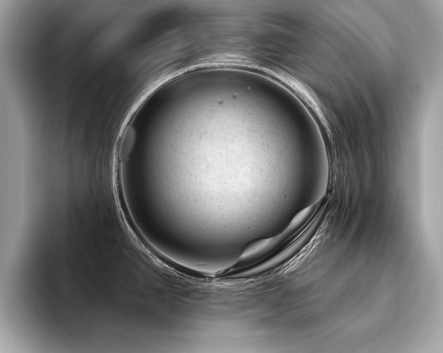 X0000094381390200711021218