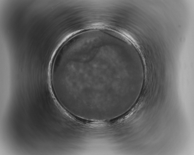 X0000094381392200711021218
