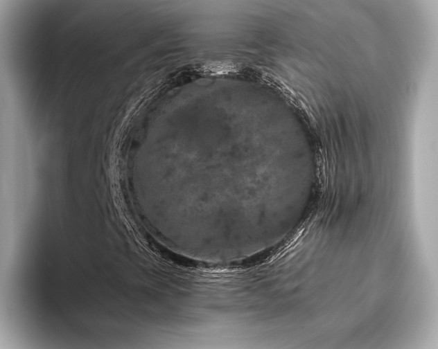 X0000094381393200711021217