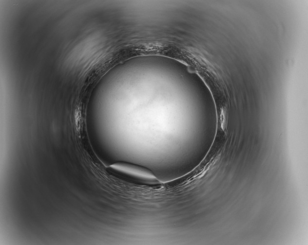 X0000094381395200711021217