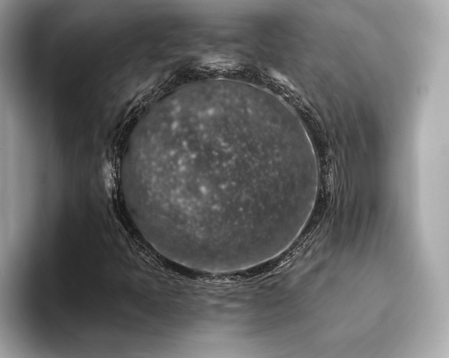 X0000094381397200711021217
