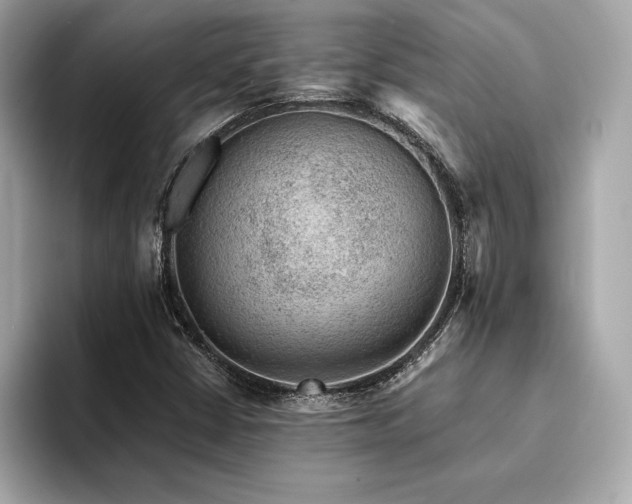 X0000094381402200711021218