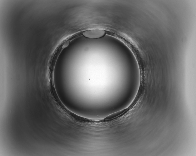 X0000094381408200711021218