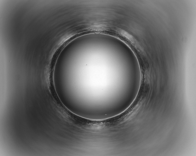 X0000094381410200711021218