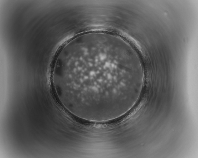 X0000094381411200711021218