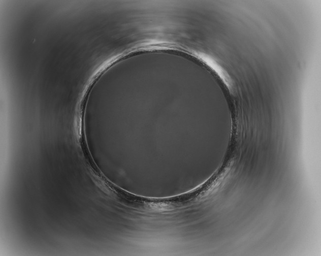 X0000094381413200711021218