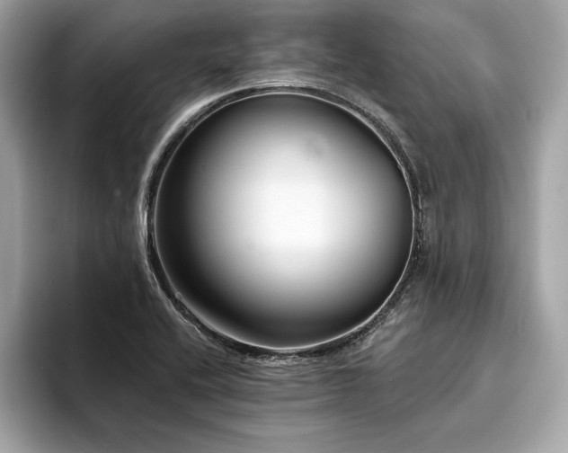 X0000094381416200711021218