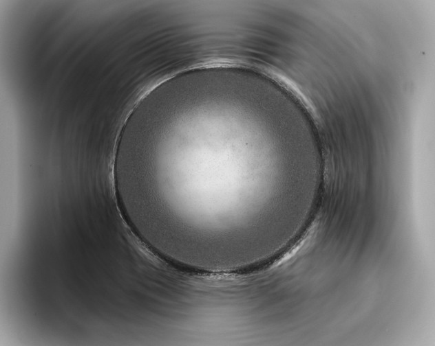 X0000094381417200711021218