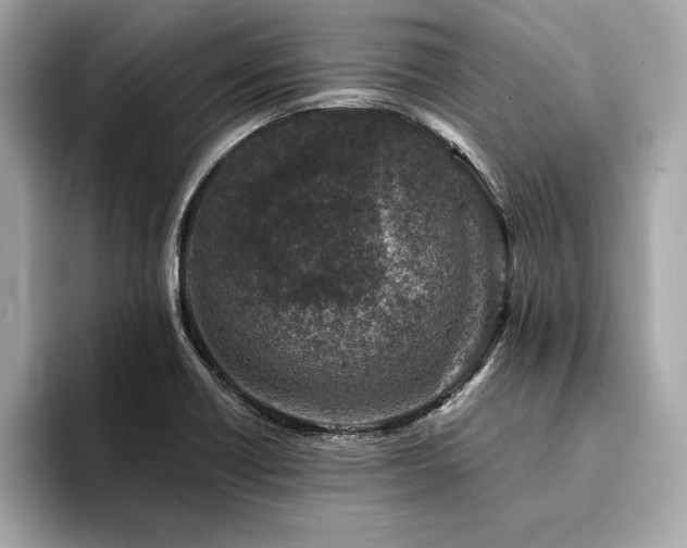 X0000094381418200711021218