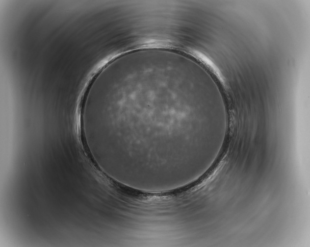 X0000094381419200711021218