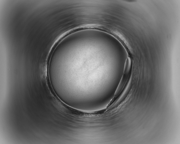 X0000094381420200711021218