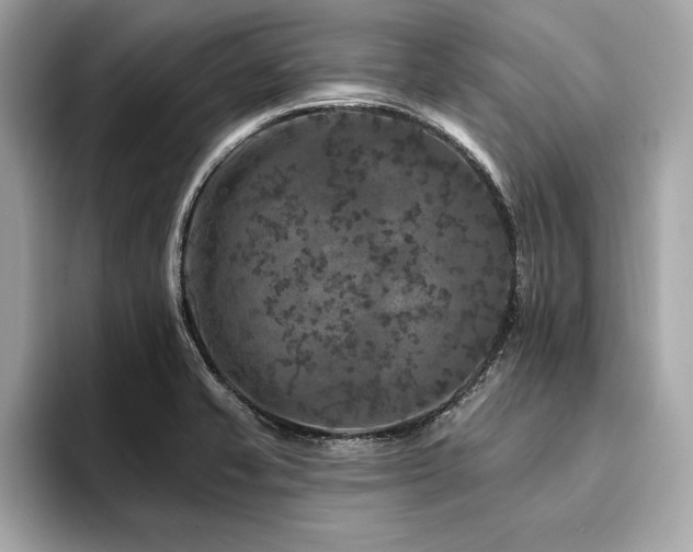 X0000094381421200711021218