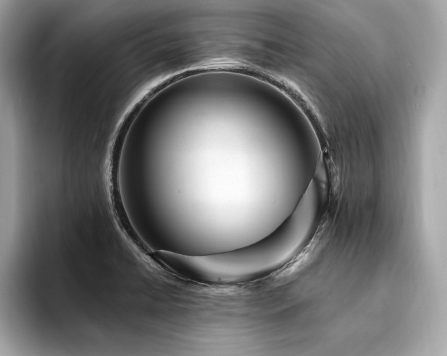 X0000094381422200711021218
