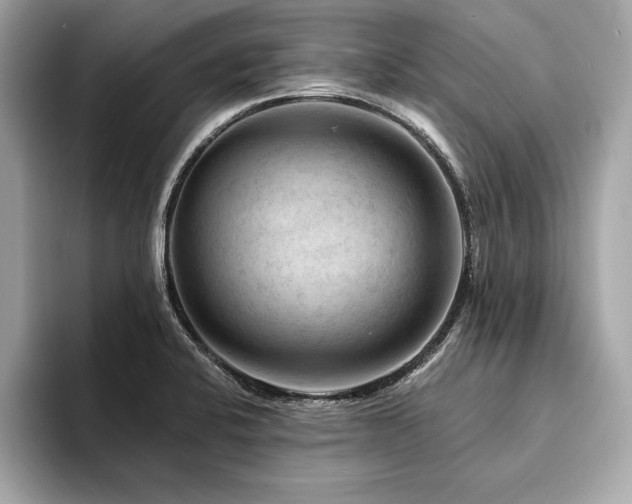 X0000094381424200711021218