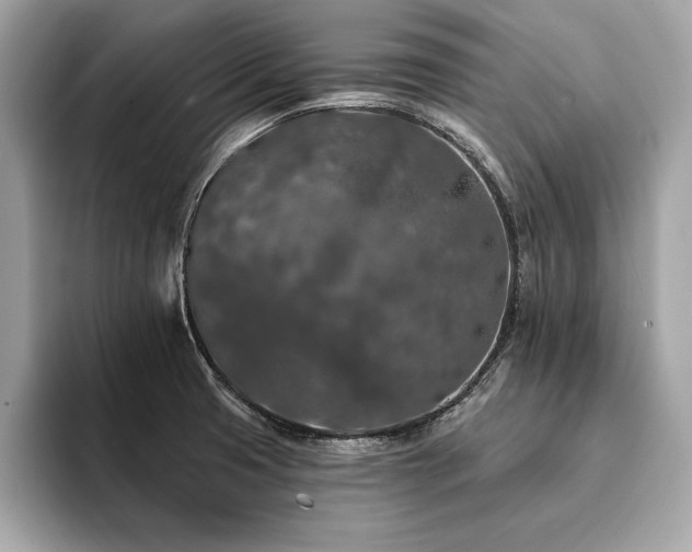 X0000094381425200711021218