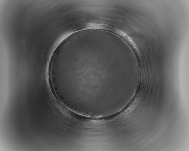 X0000094381427200711021218
