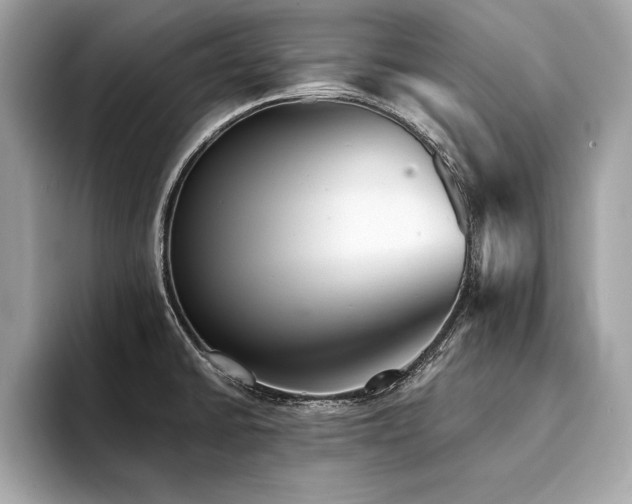 X0000094381430200711021218