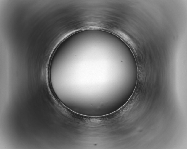 X0000094381431200711021218