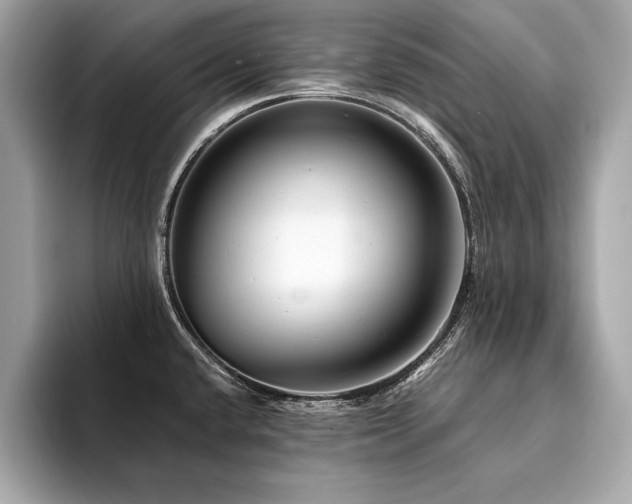 X0000094381432200711021218