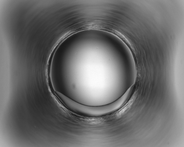 X0000094381434200711021218