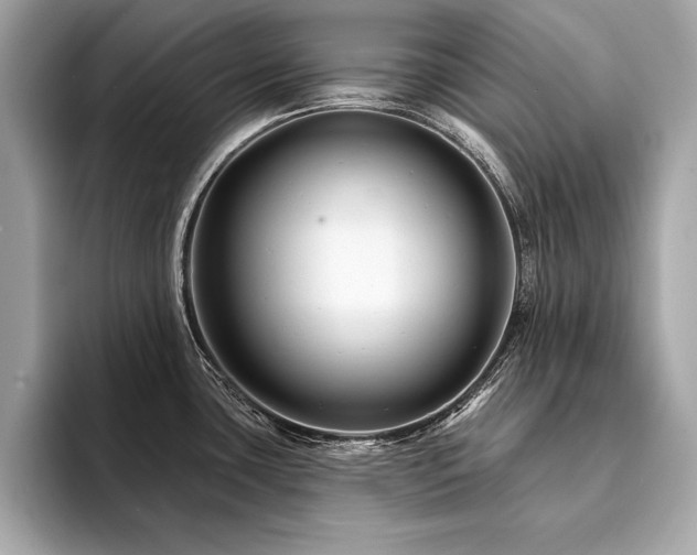 X0000094381435200711021218