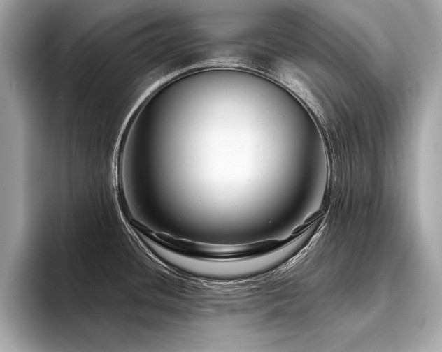 X0000094381436200711021218