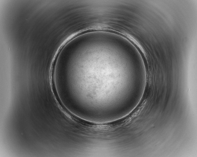 X0000094381437200711021218